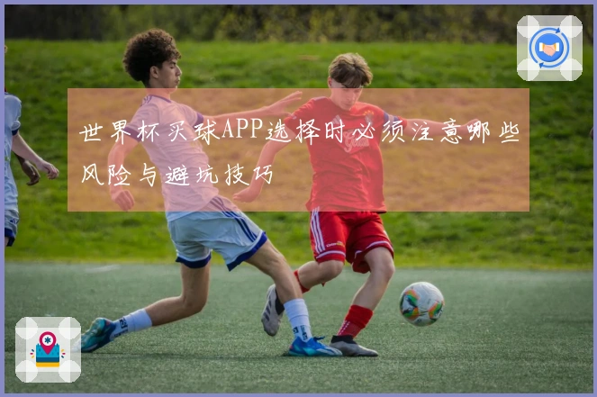 世界杯买球APP选择时必须注意哪些风险与避坑技巧