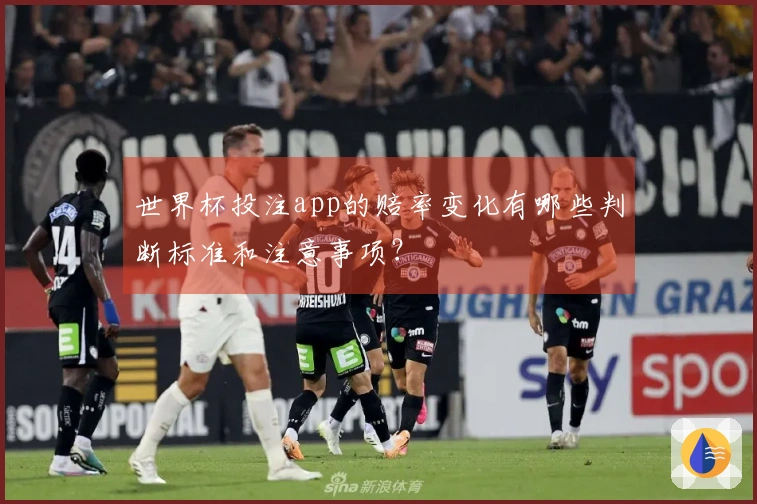 世界杯投注app的赔率变化有哪些判断标准和注意事项？