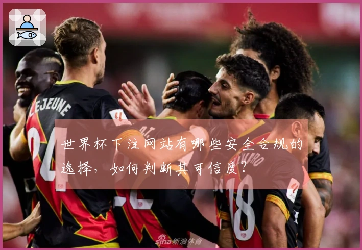 世界杯下注网站有哪些安全合规的选择，如何判断其可信度？