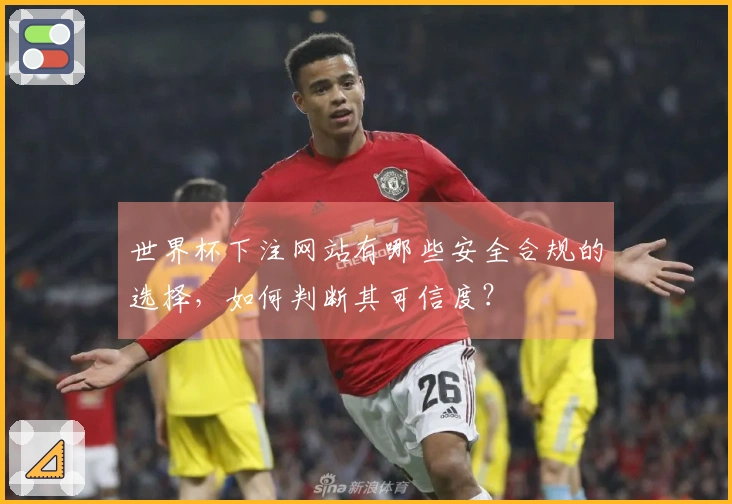 世界杯下注网站有哪些安全合规的选择，如何判断其可信度？