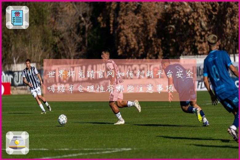 世界杯竞猜官网如何判断平台安全吗赔率合理性有哪些注意事项