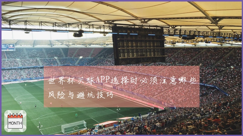 世界杯买球APP选择时必须注意哪些风险与避坑技巧